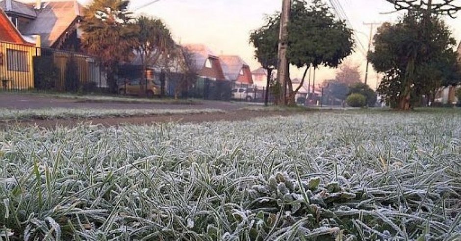 (Foto: Contexto/Radio Temuco)