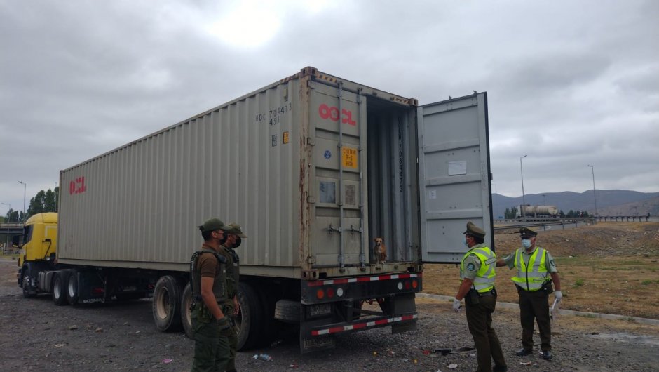 Imagen: Carabineros Región de Valparaíso. 